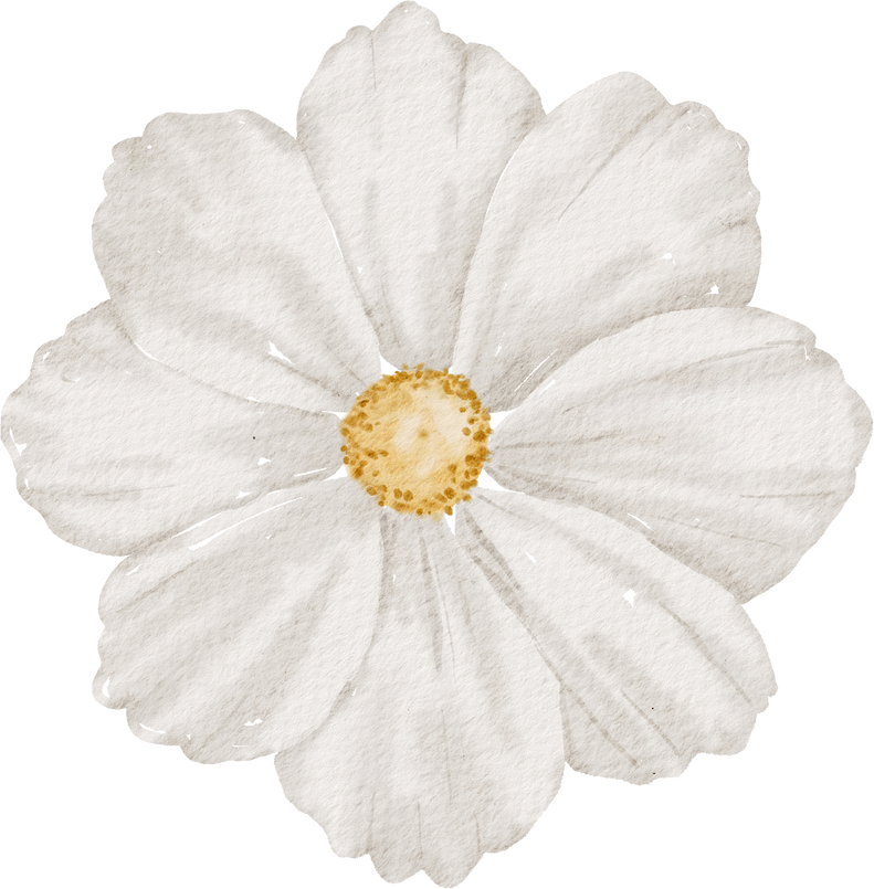 Watercolor White Flower 